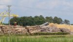 Biomass: EU asks – denkhausbremen replies