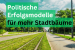 Stadtbäume_Header